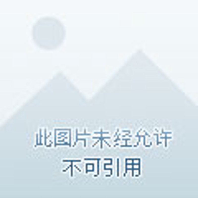 在当今竞争激烈的市场环境中，品牌策划师如何才能让自己的品牌脱颖而出？本文将从多个维度探讨品牌策划的关键要素，并通过具体案例解读品牌策划的实战攻略。